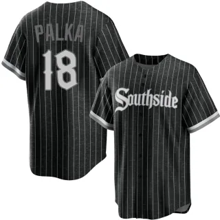 Youth Replica Black Daniel Palka Chicago White Sox 2021 City Connect Jersey